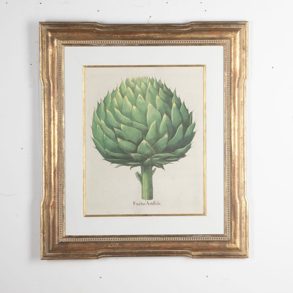 20th Century Print of Basilius Besler Artichoke WD9031034