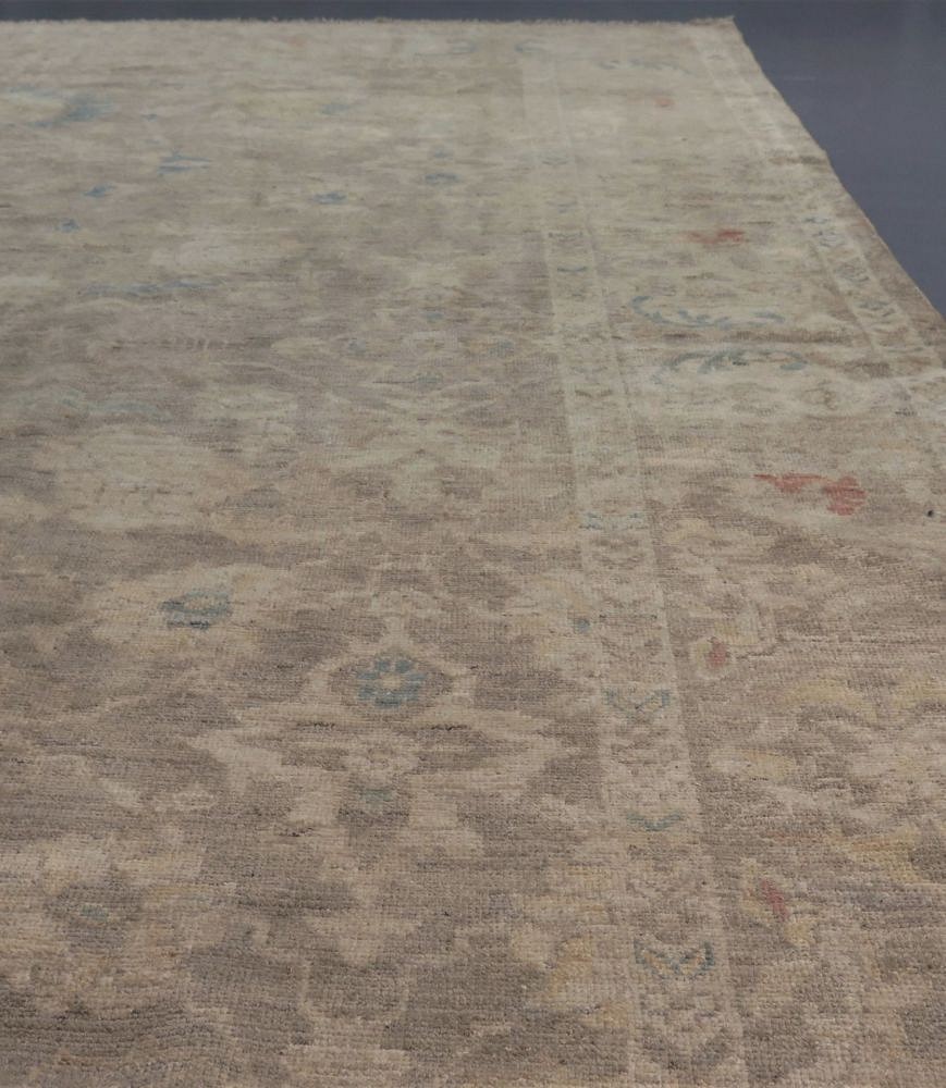 Contemporary Ziegler Sultanabad Carpet RT4937871