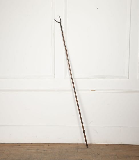 19th Century Library Book Picker DA3231561