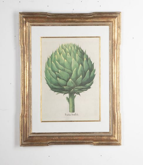 20th Century Print of Basilius Besler Artichoke WD9031034
