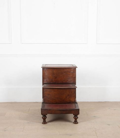 19th Century English Library Steps CB1536712