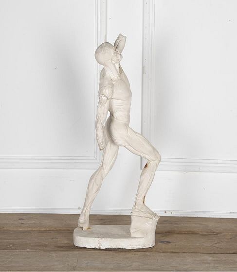 19th Century Plaster Anatomical Study DA3423459