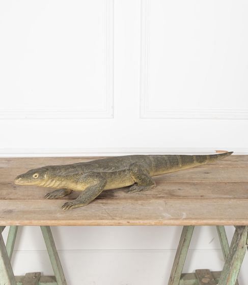 Mid-Century Naturalistic Carved Wooden Komodo Dragon DA6330452