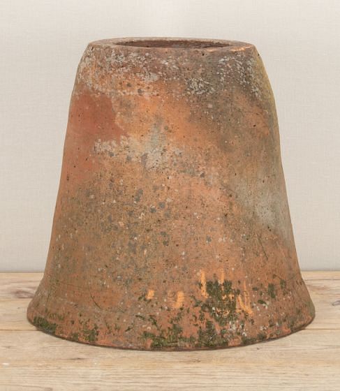19th Century English Terracotta Rhubarb Forcer GA2843373
