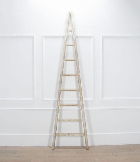 19th Century French Fruit Pickers Ladder GA7237416