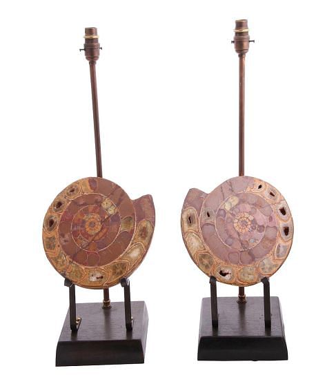 Madagascan Amonites Mounted as Lamps LL151805