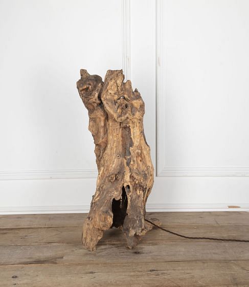 19th Century Rootwood Lamp LL8130395