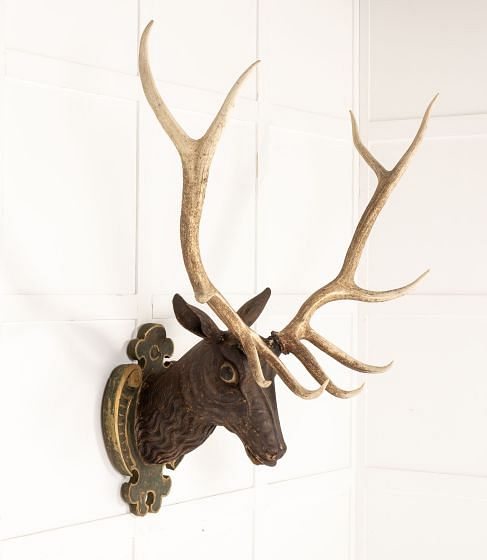 Large 19th Century Carved Wooden Stag Head OF0642845