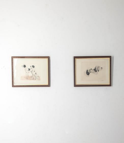 Late 19th Century English Pointer Prints WD2032697