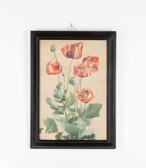 19th Century English Watercolour Painting of Poppies WD2038642