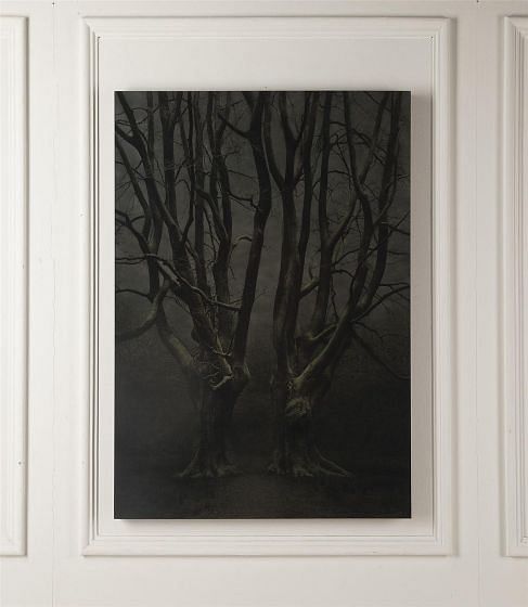 Xteriors IX Desiree Dolron Photograph (1963) WD287416