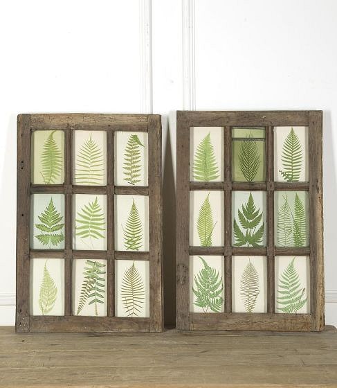 SALE: Set of Eighteen 19th Century French Fern Prints  by E J Lowe WD379666