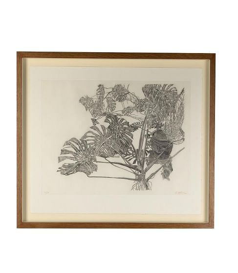 20th Century French 'Philodendron' Aquatint by Sam Szafran WD7616430