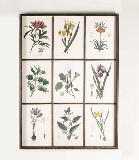 Early 19th Century French Roques Botanical Engravings WD7642161