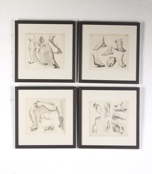 Set of Four Engravings of Limbs from Ackermann's 'Cabinet of Arts' WD8015118