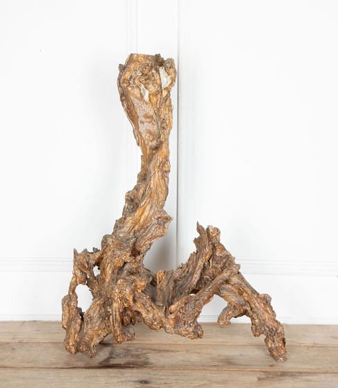Bog Oak Tree Root DA7633823