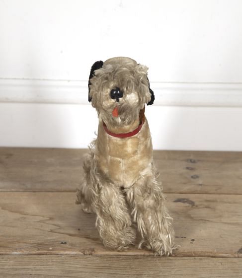 Old French Terrier Toy Dog DA1518962