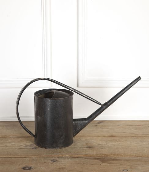 English Tole Watering Can DA9016841