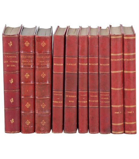 Red Leather Book Spines DA019435