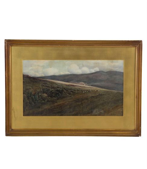 Moorland Pastel WD2853535