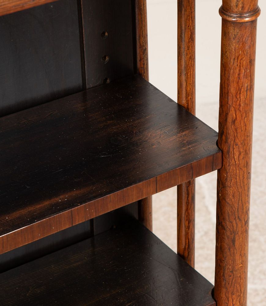 19th Century Regency Rosewood Double Sided Bookcase BK8041749