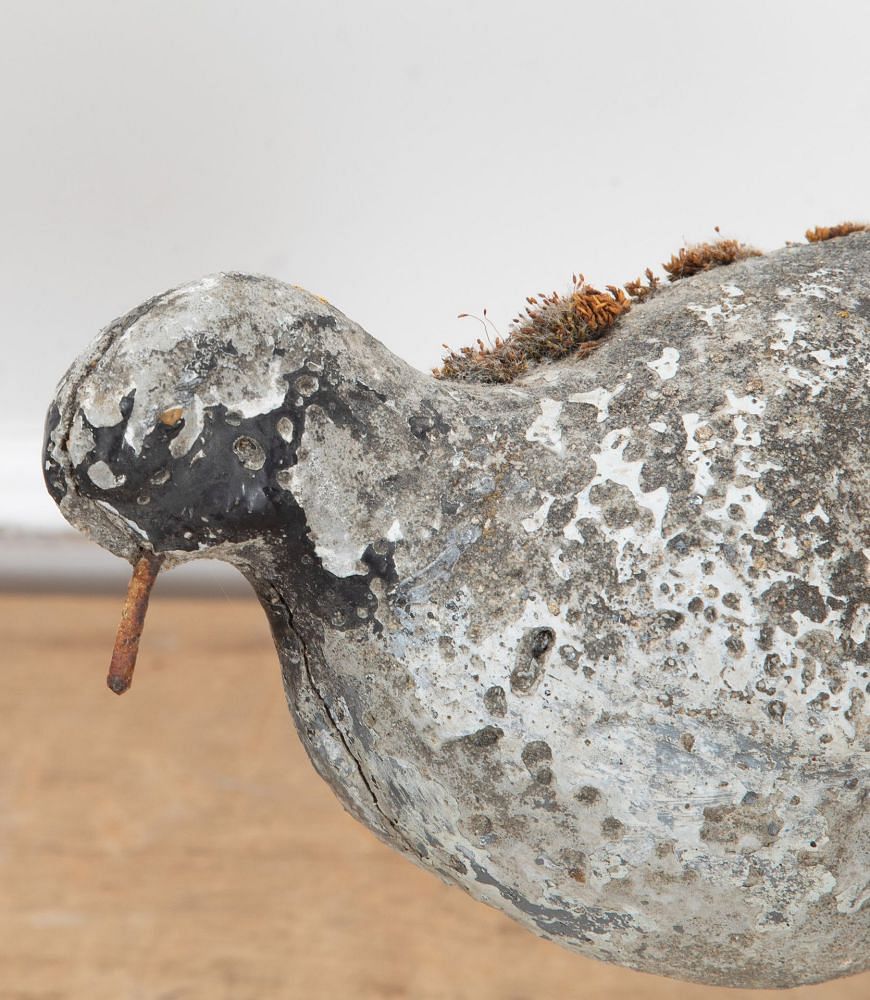 Mid Century Concrete Seagull Sculpture DA0738885