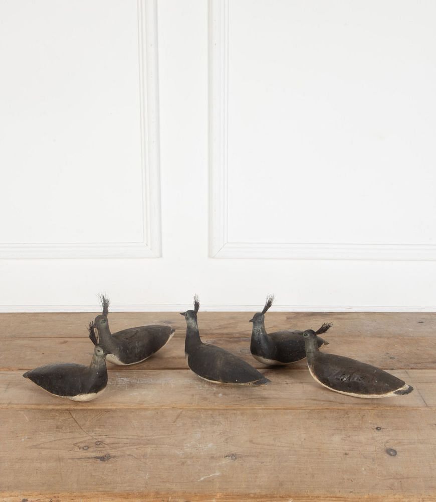 Set of Five Early 20th Century Lapwing Decoys DA3436949