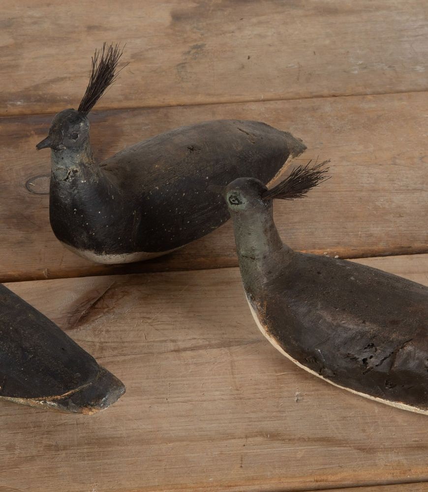 Set of Five Early 20th Century Lapwing Decoys DA3436949