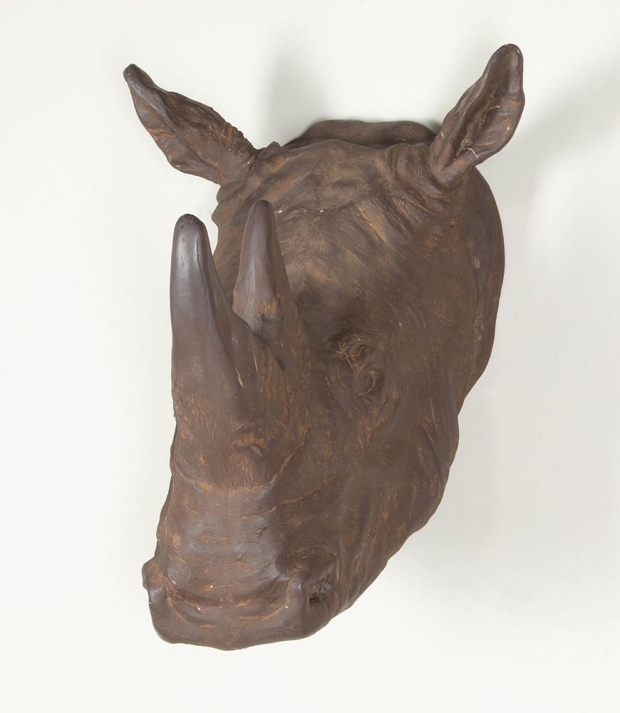 20th Century French Resin Rhino 'Trophy' Head DA3743482