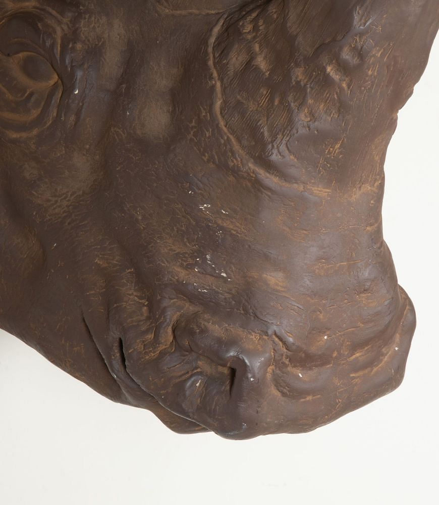 20th Century French Resin Rhino 'Trophy' Head DA3743482