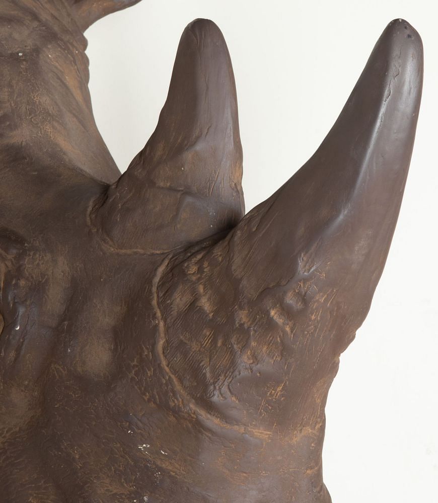 20th Century French Resin Rhino 'Trophy' Head DA3743482