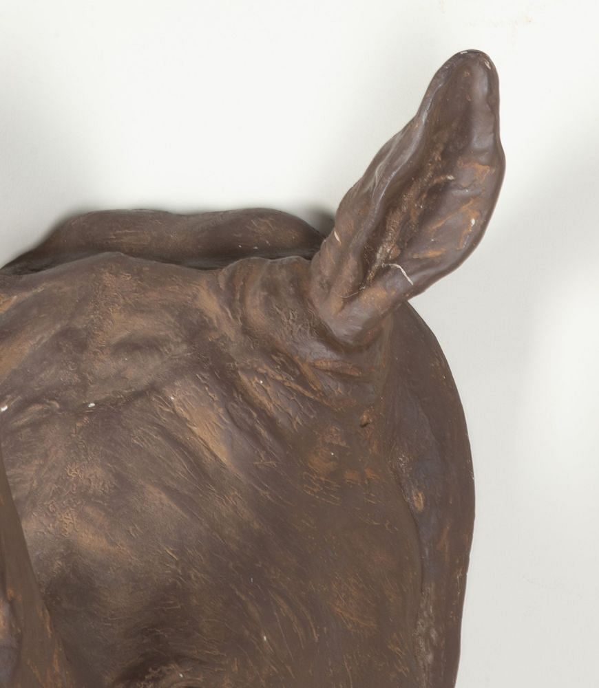 20th Century French Resin Rhino 'Trophy' Head DA3743482