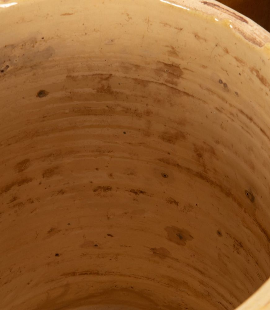 Collection of Six Italian 19th Century Preserving Pots DA6038059