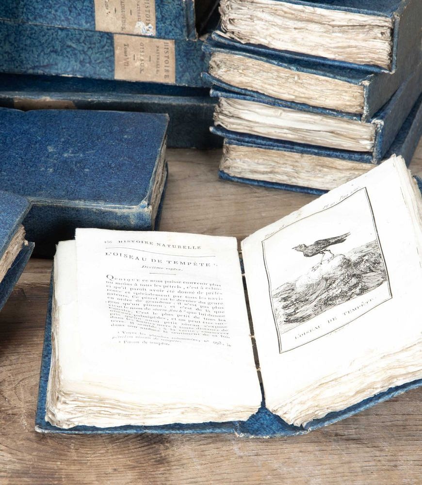 Set of Fifty Late 18th Century French Hard Back 'Histoire Naturelle' Books DA7542217