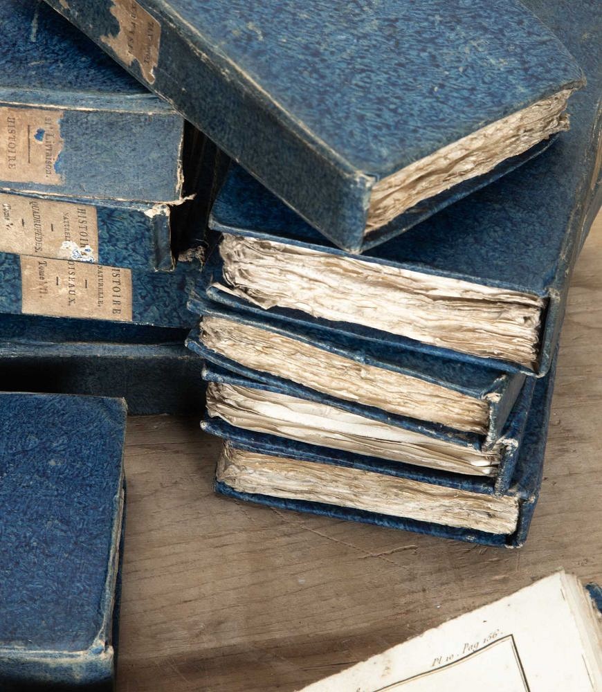 Set of Fifty Late 18th Century French Hard Back 'Histoire Naturelle' Books DA7542217