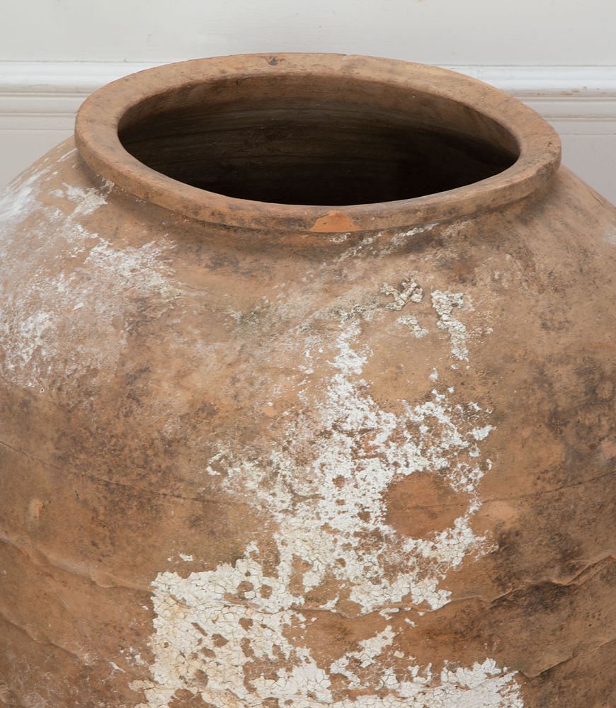 Large Late 19th Century Terracotta Olive Oil Jar GA2334460
