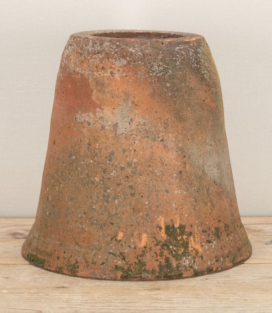 19th Century English Terracotta Rhubarb Forcer GA2843373