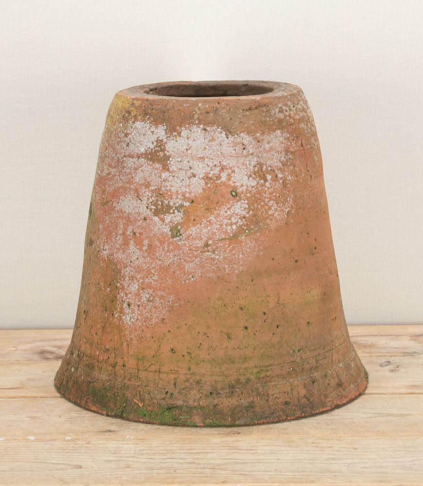 19th Century English Terracotta Rhubarb Forcer GA2843373