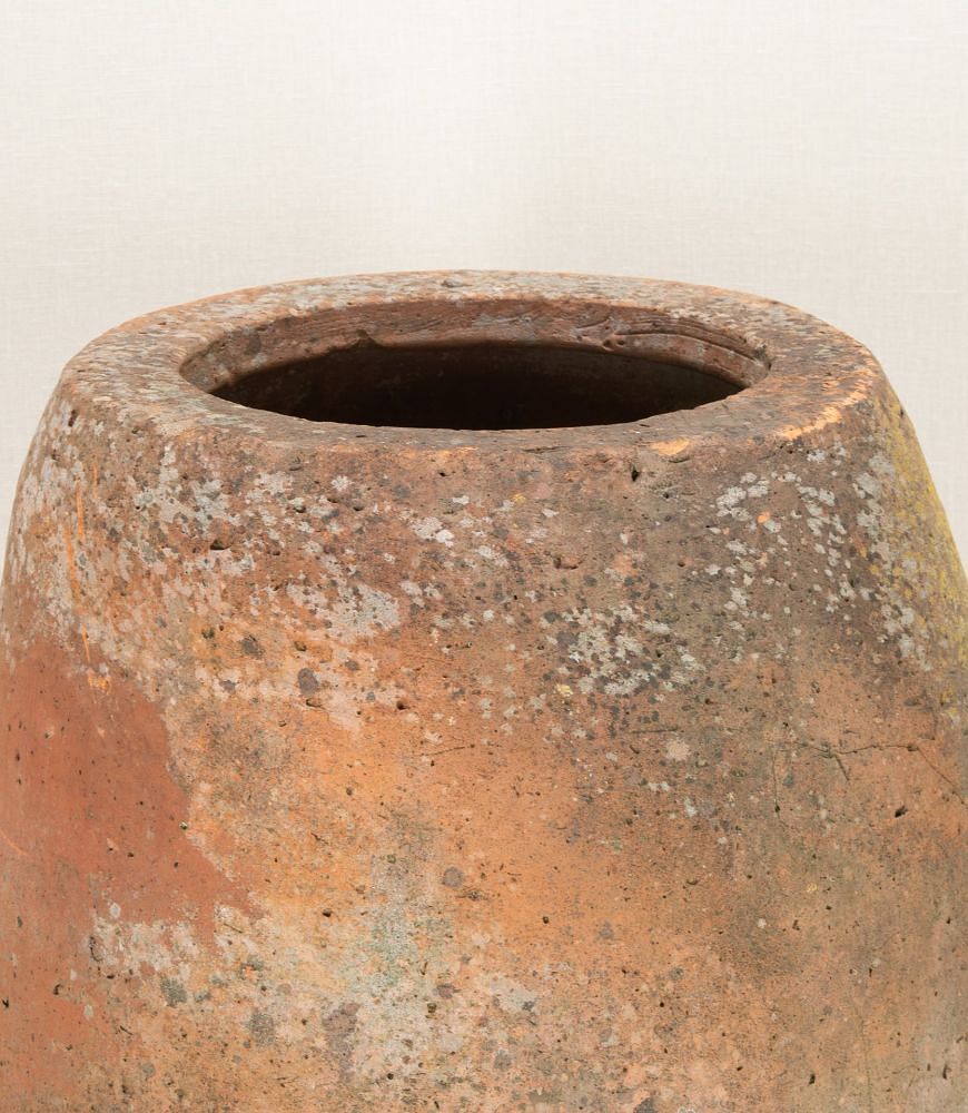 19th Century English Terracotta Rhubarb Forcer GA2843373