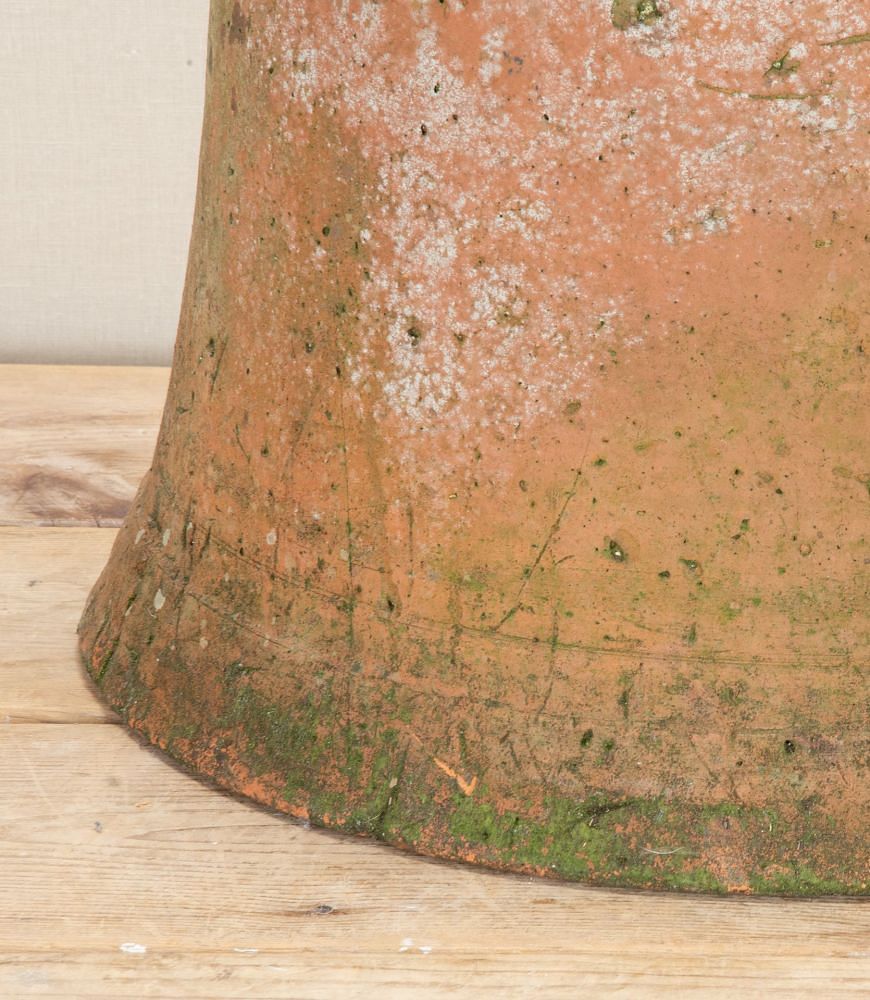 19th Century English Terracotta Rhubarb Forcer GA2843373