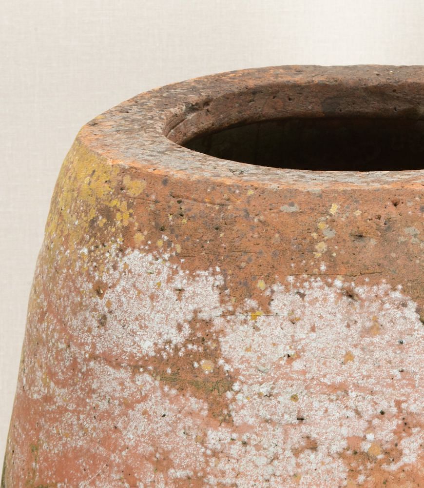 19th Century English Terracotta Rhubarb Forcer GA2843373