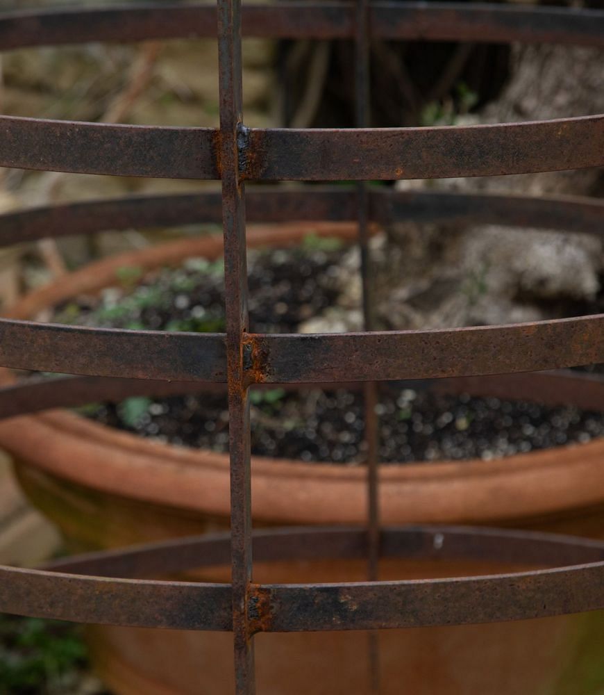 20th Century Iron Tree Guard GA3340013