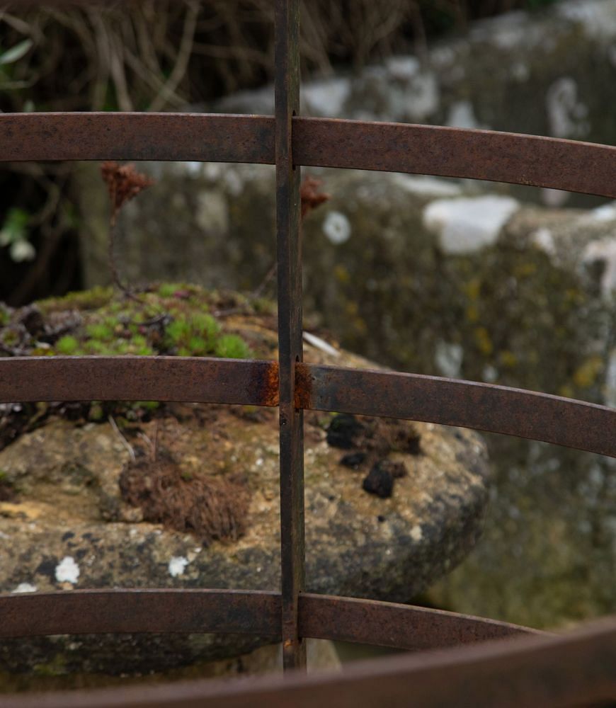 20th Century Iron Tree Guard GA3340013