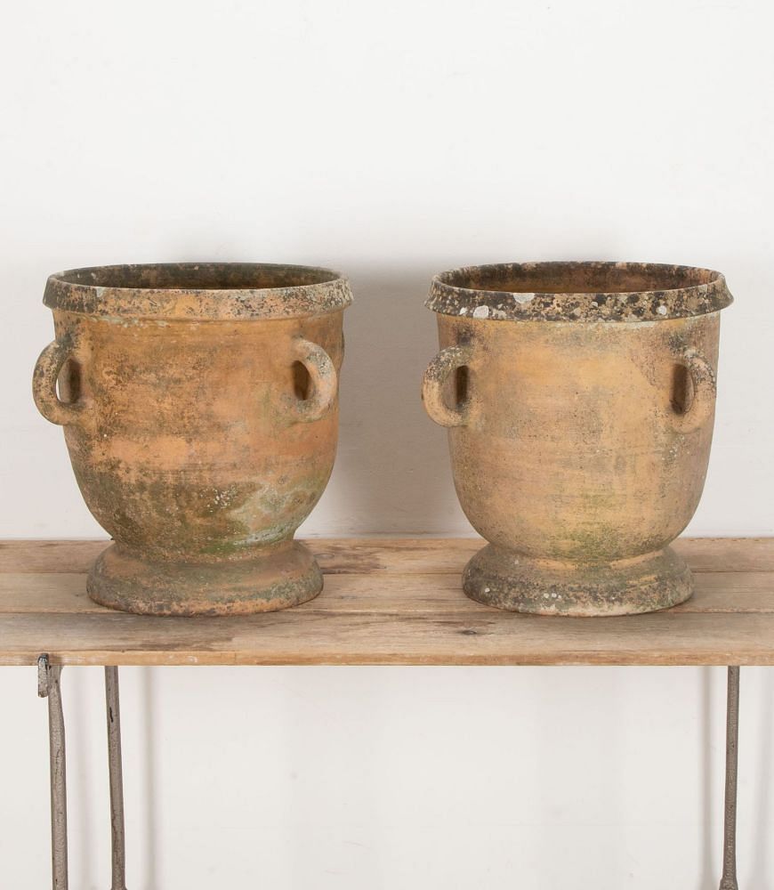 Large Pair of 19th Century Castelnaudary Terracotta Planters GA3442321