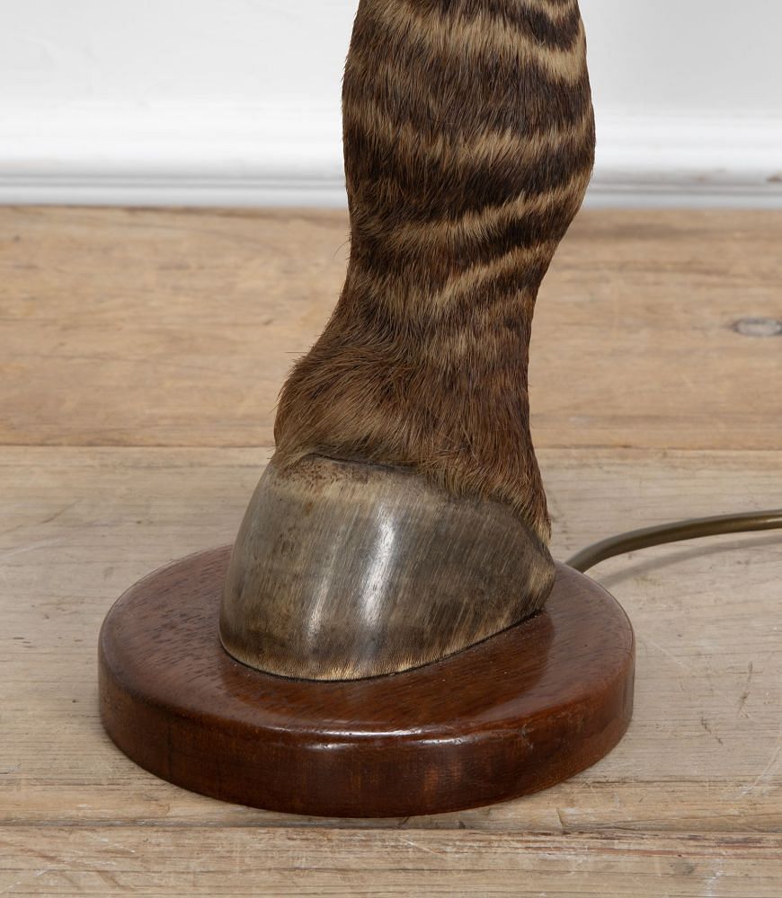 Taxidermy Zebra's Leg Table Lamp LT3937759