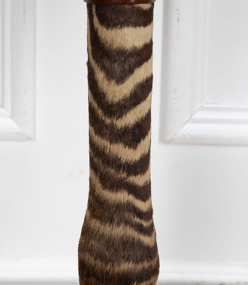 Taxidermy Zebra's Leg Table Lamp LT3937759