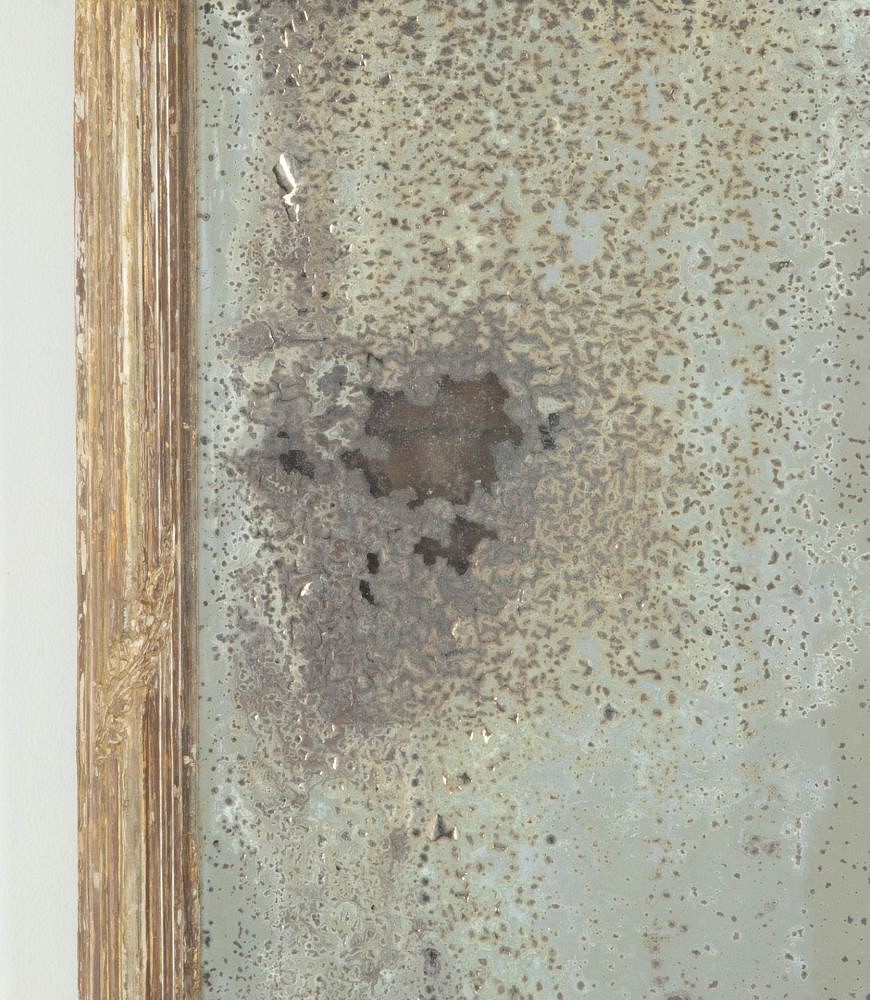 19th Century English Regency Pier Mirror MI2642589