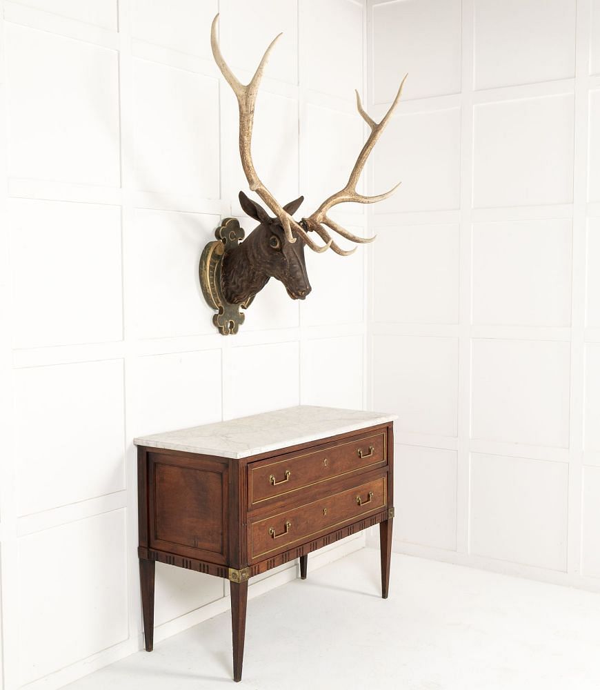 Large 19th Century Carved Wooden Stag Head OF0642845