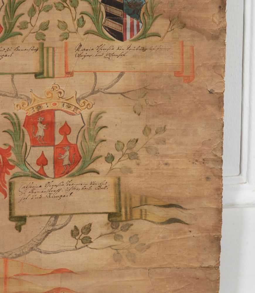 Early 18th Century Italian Baroque Era Family Tree WD2839549