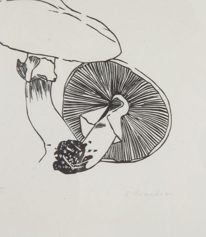 Collection of Eighteen 20th Century Swiss Mushroom Woodcut Prints WD3739308